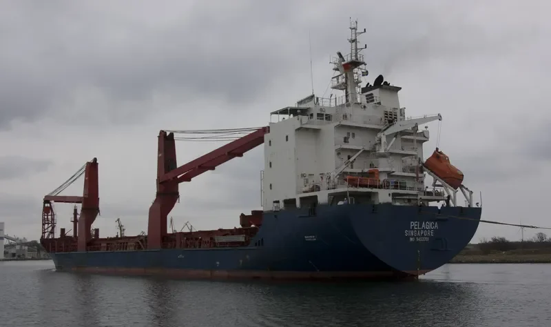 PELAGICA General Cargo IMO 9453781 photo 8