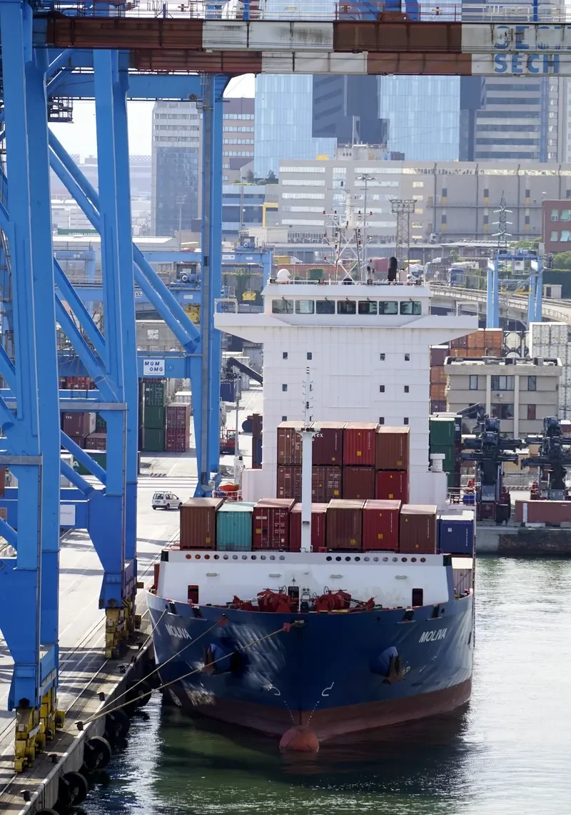 MOLIVA Container Ship IMO 9454034 photo 2