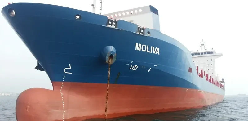 MOLIVA Container Ship IMO 9454034 photo 9