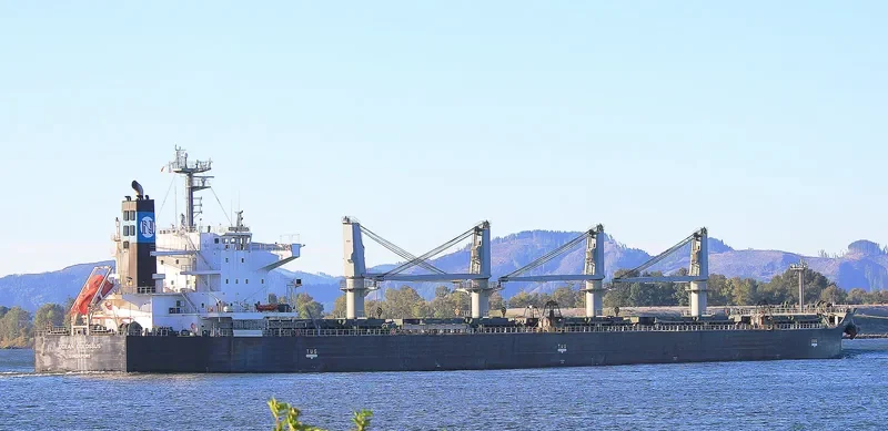 AKOUR II Bulk Carrier IMO 9454084 photo 2