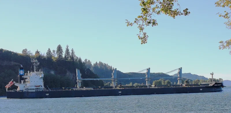 AKOUR II Bulk Carrier IMO 9454084 photo 3