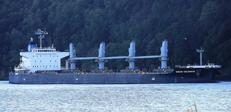 AKOUR II Bulk Carrier IMO 9454084 photo 4