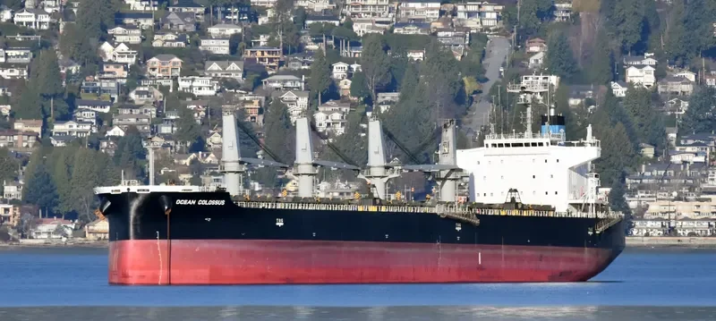 AKOUR II Bulk Carrier IMO 9454084 photo 10