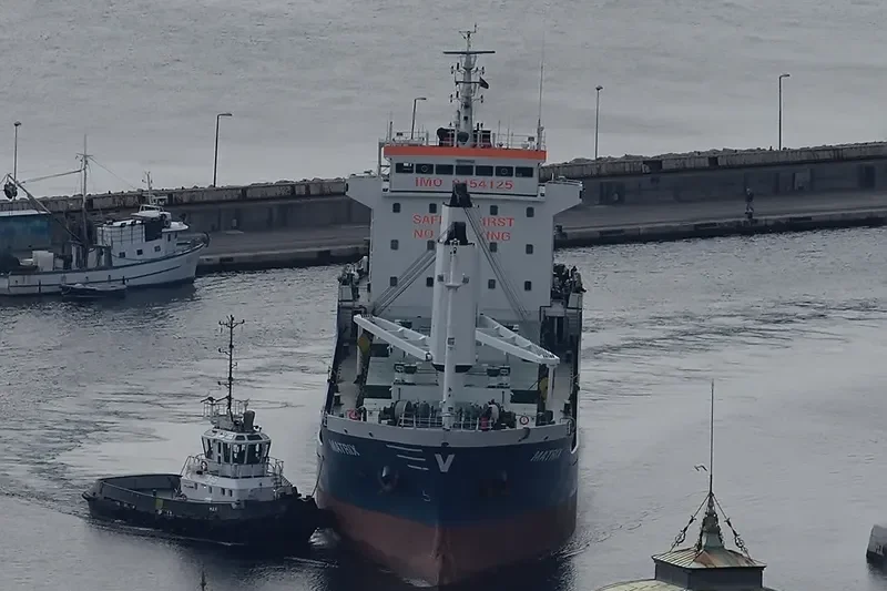 MATRIX Bulk Carrier IMO 9454125 photo 6