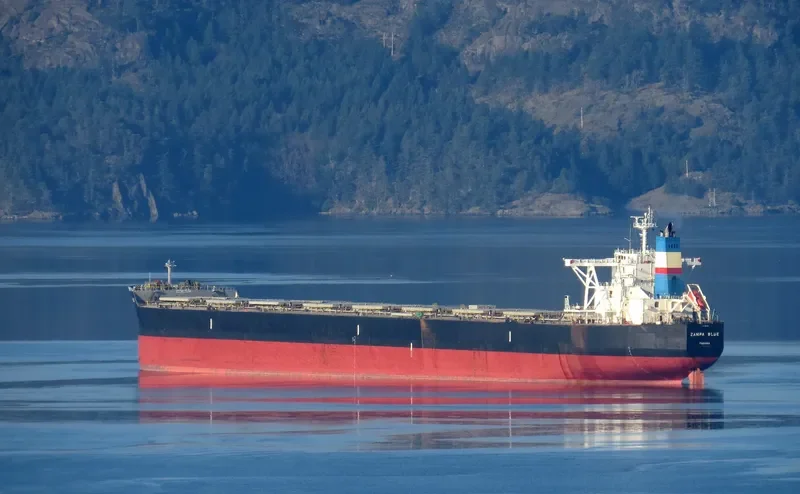 ZAMPA BLUE Bulk Carrier IMO 9454163