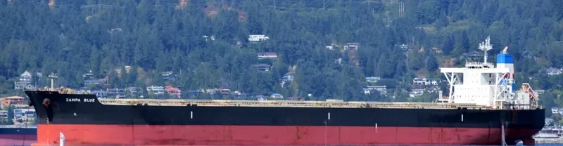 ZAMPA BLUE Bulk Carrier IMO 9454163 photo 7