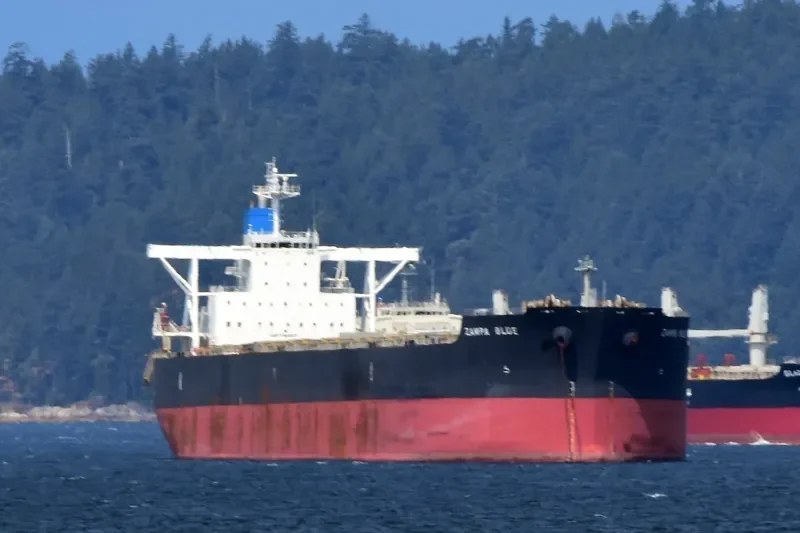 ZAMPA BLUE Bulk Carrier IMO 9454163 photo 9