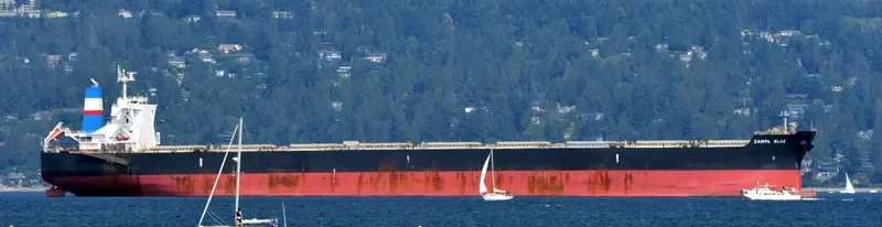 ZAMPA BLUE Bulk Carrier IMO 9454163 photo 10