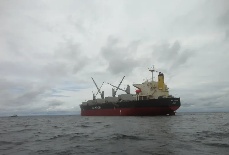 MEDI PAESTUM Bulk Carrier IMO 9454175