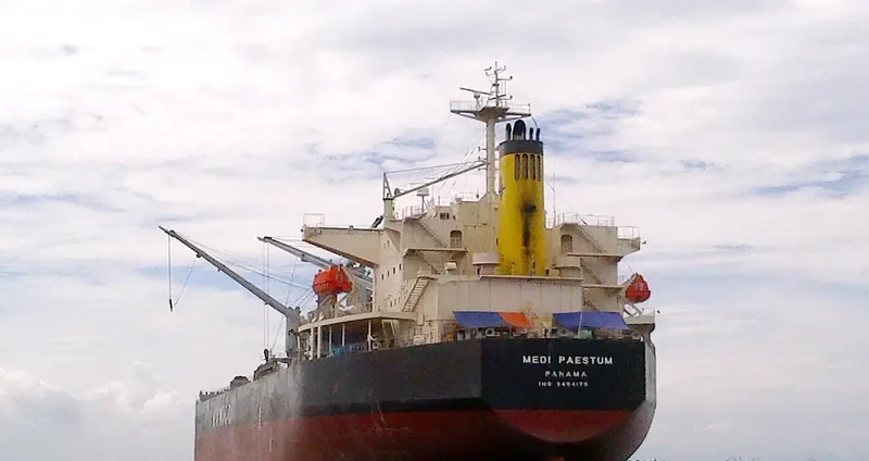 MEDI PAESTUM Bulk Carrier IMO 9454175 photo 2