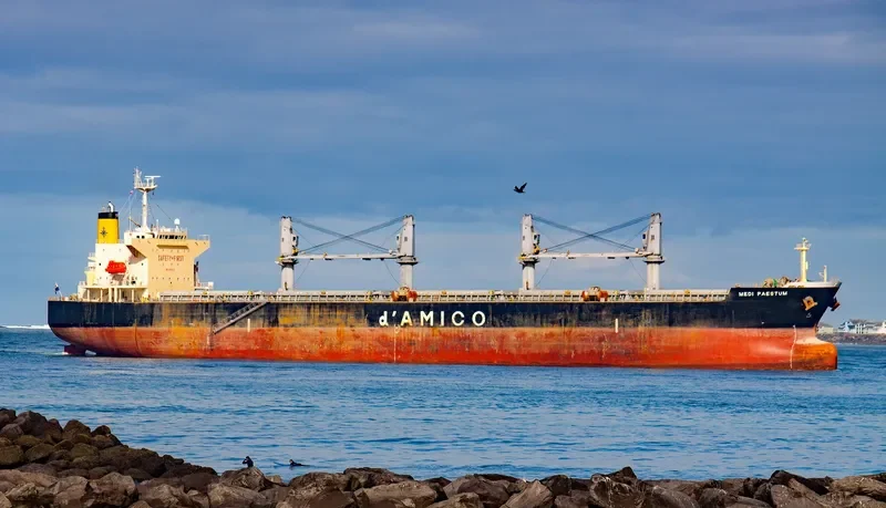 MEDI PAESTUM Bulk Carrier IMO 9454175 photo 3