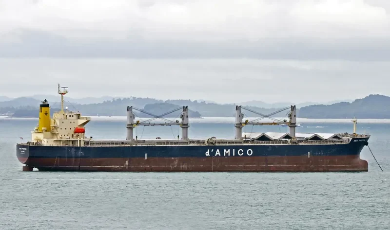 MEDI PAESTUM Bulk Carrier IMO 9454175 photo 4