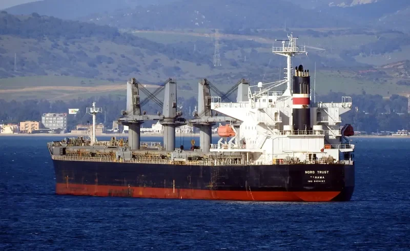 NORD TRUST Bulk Carrier IMO 9454187 photo 3