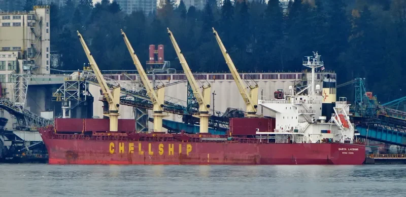 DARYA LAKSHMI Bulk Carrier IMO 9454199 photo 2