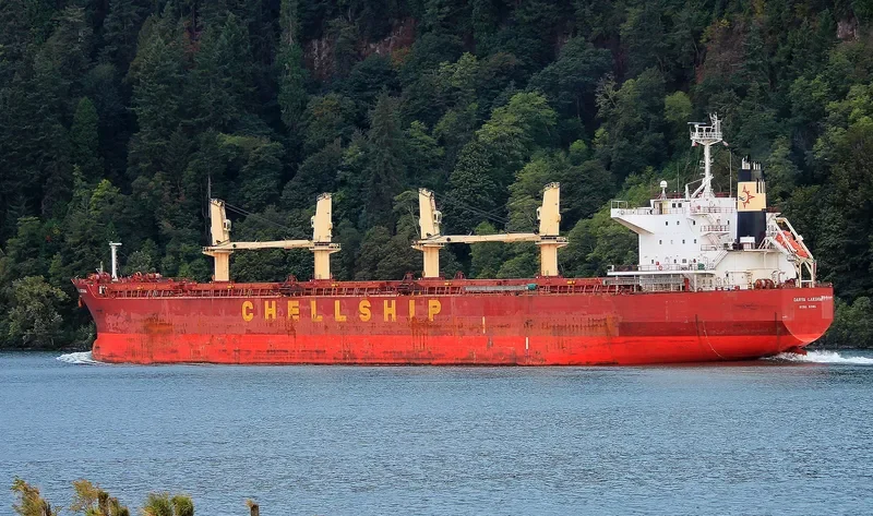 DARYA LAKSHMI Bulk Carrier IMO 9454199 photo 3