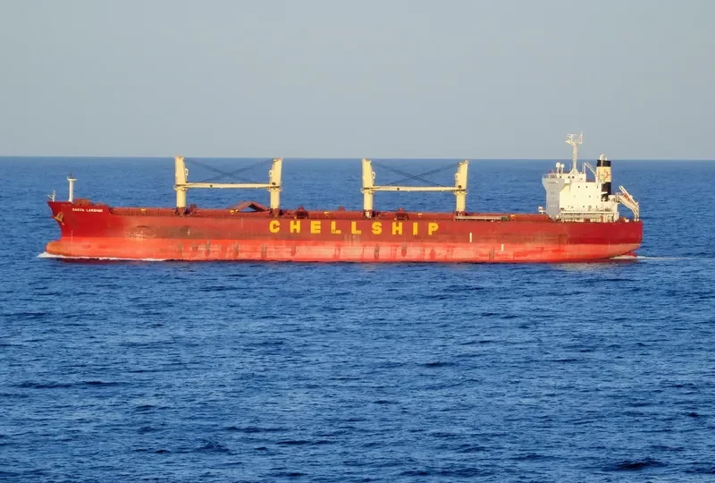DARYA LAKSHMI Bulk Carrier IMO 9454199 photo 4