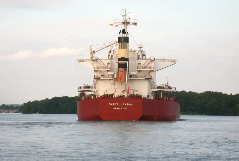 DARYA LAKSHMI Bulk Carrier IMO 9454199 photo 5