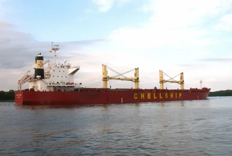DARYA LAKSHMI Bulk Carrier IMO 9454199 photo 6