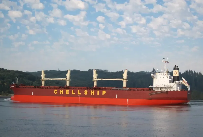 DARYA LAKSHMI Bulk Carrier IMO 9454199 photo 8