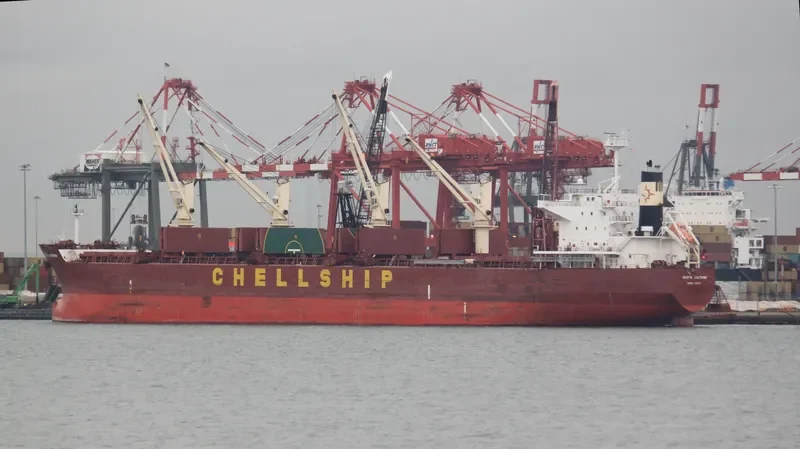 DARYA LAKSHMI Bulk Carrier IMO 9454199 photo 10