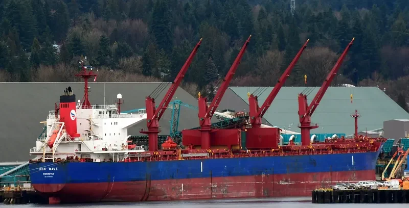 KEN WAVE Bulk Carrier IMO 9454204