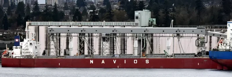 NAVIOS MARCO POLO Bulk Carrier IMO 9454280 photo 5