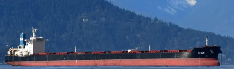 F.SUN Bulk Carrier IMO 9454333