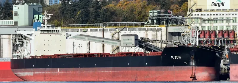 F.SUN Bulk Carrier IMO 9454333 photo 2