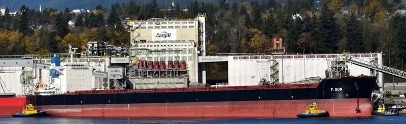 F.SUN Bulk Carrier IMO 9454333 photo 3