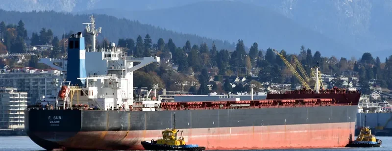 F.SUN Bulk Carrier IMO 9454333 photo 4