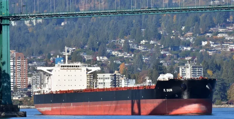 F.SUN Bulk Carrier IMO 9454333 photo 5