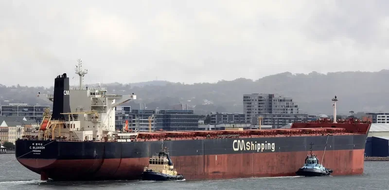 F.SUN Bulk Carrier IMO 9454333 photo 6