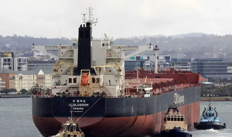 F.SUN Bulk Carrier IMO 9454333 photo 7