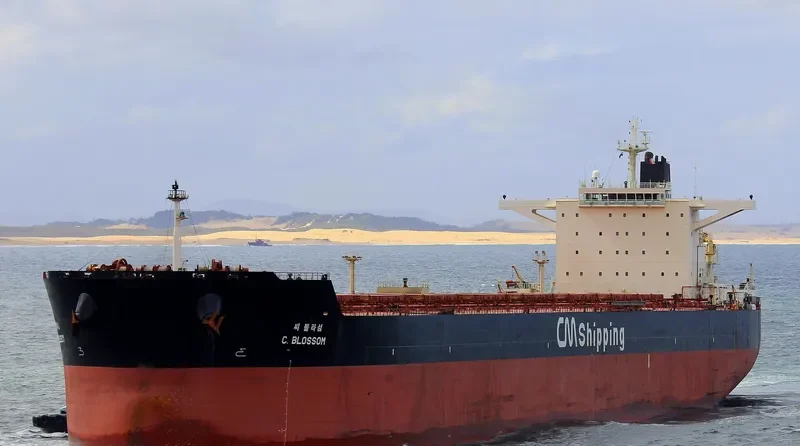 F.SUN Bulk Carrier IMO 9454333 photo 8