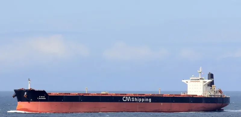 F.SUN Bulk Carrier IMO 9454333 photo 9