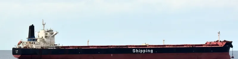 F.SUN Bulk Carrier IMO 9454333 photo 10