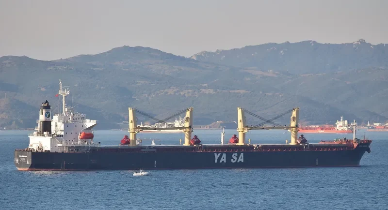 YASA EMIRHAN Bulk Carrier IMO 9454503 photo 5