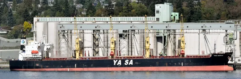 YASA EMIRHAN Bulk Carrier IMO 9454503 photo 6