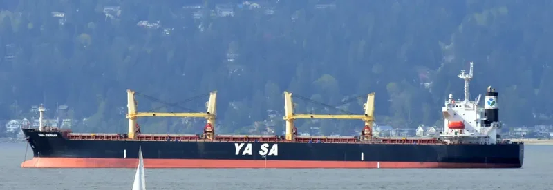 YASA EMIRHAN Bulk Carrier IMO 9454503 photo 9
