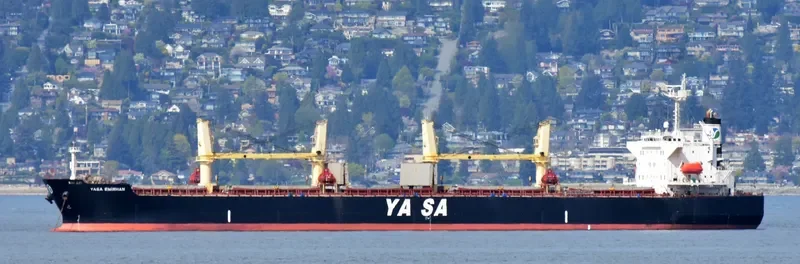 YASA EMIRHAN Bulk Carrier IMO 9454503 photo 10