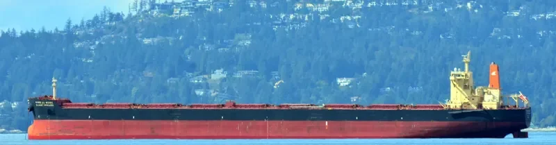 HL PORT HEDLAND Bulk Carrier IMO 9454527 photo 6