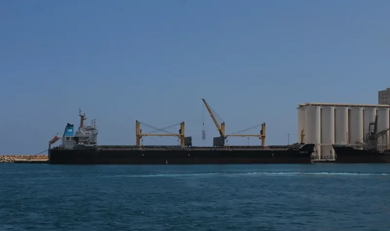 SHUN XIN Bulk Carrier IMO 9454656 photo 5
