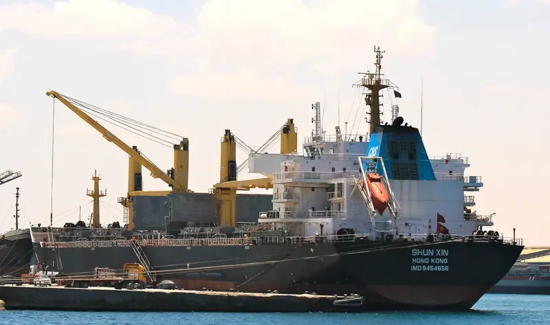 SHUN XIN Bulk Carrier IMO 9454656 photo 9