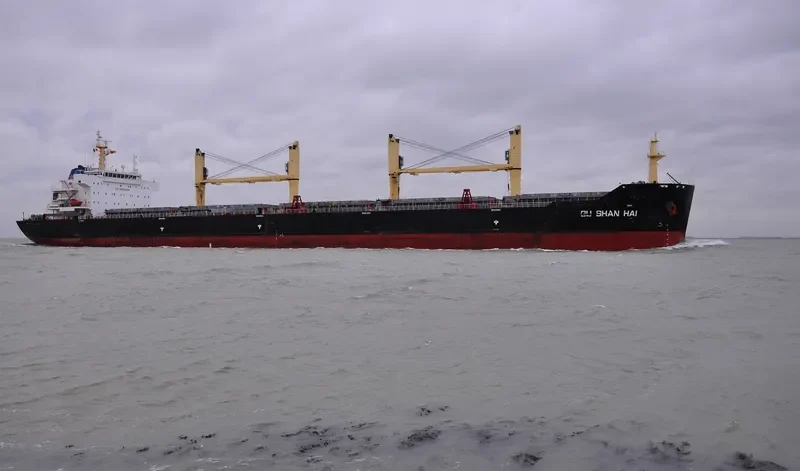 QU SHAN HAI Bulk Carrier IMO 9454668 photo 10