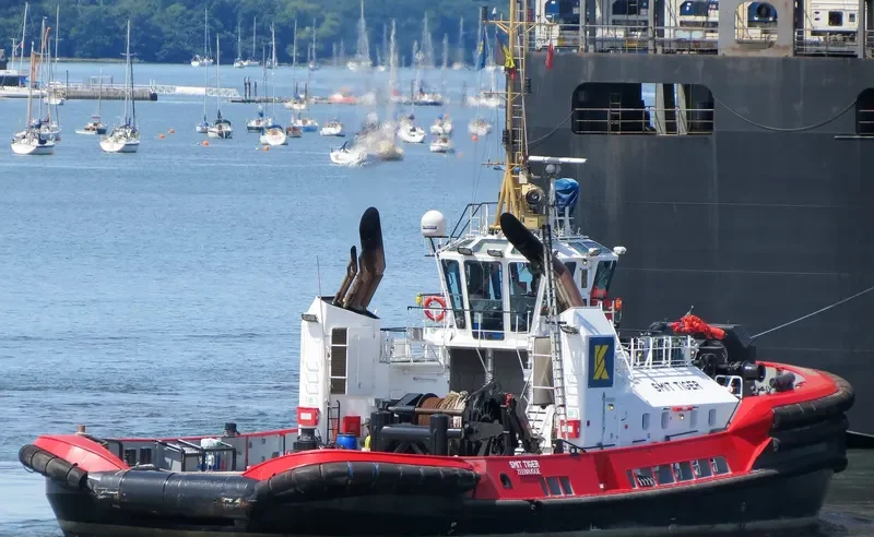 SMIT TIGER General Cargo IMO 9454888 photo 3