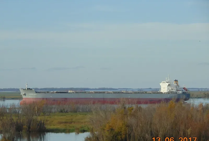 EFESSOS WAVE Bulk Carrier IMO 9454905