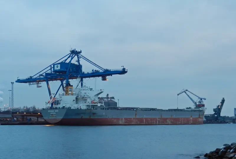 EFESSOS WAVE Bulk Carrier IMO 9454905 photo 7