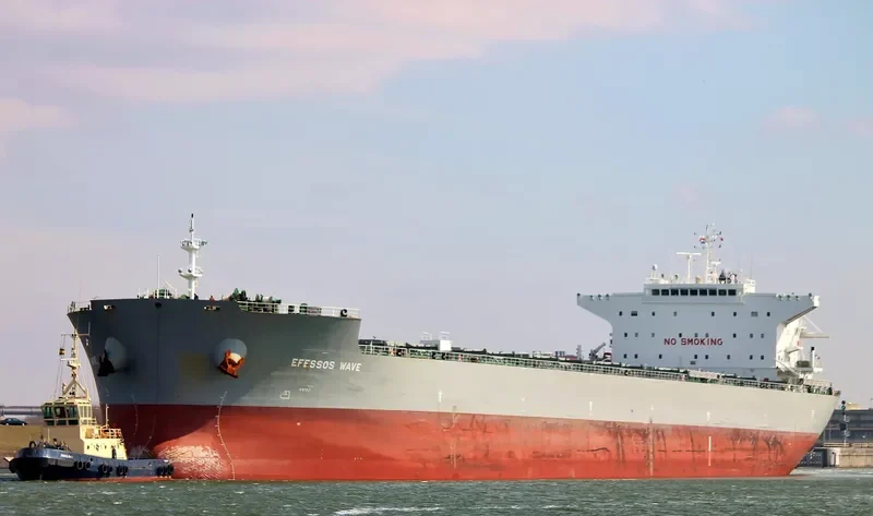 EFESSOS WAVE Bulk Carrier IMO 9454905 photo 9