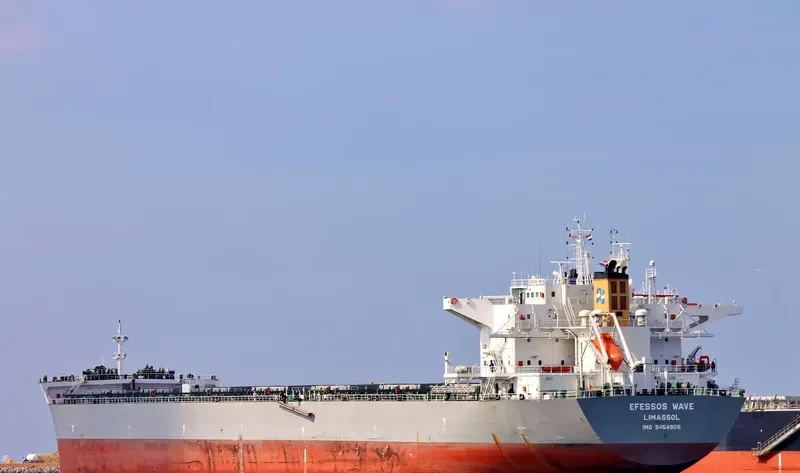 EFESSOS WAVE Bulk Carrier IMO 9454905 photo 10