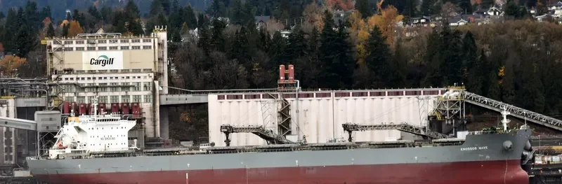 KNOSSOS WAVE Bulk Carrier IMO 9454917